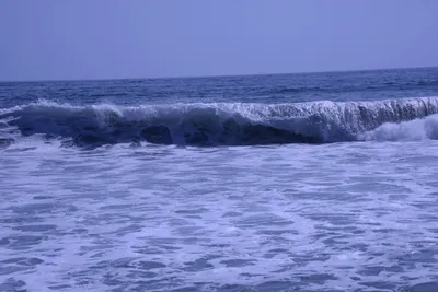 DSC_2111 (Large).JPG